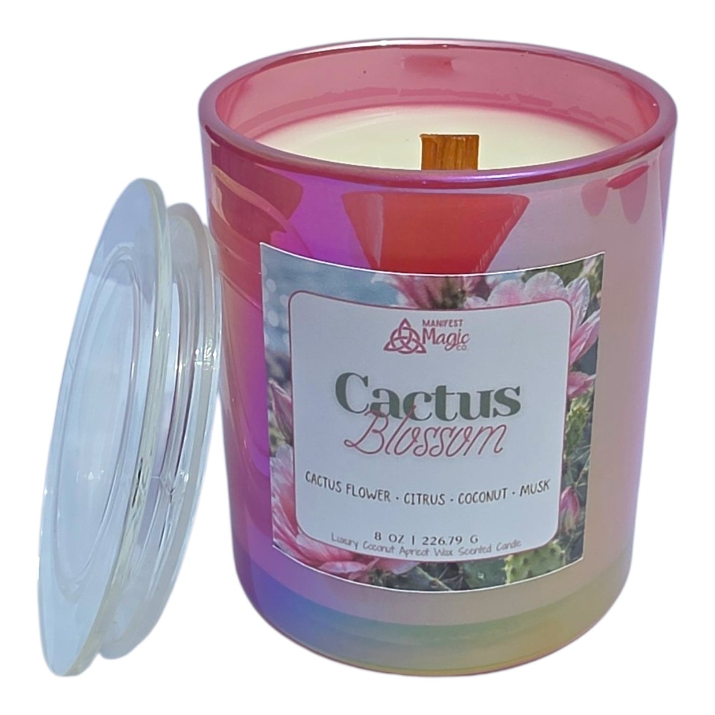 Cactus Blossom