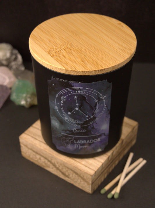 ♋ Cancer – The Heart Keeper: June 21 - July 22