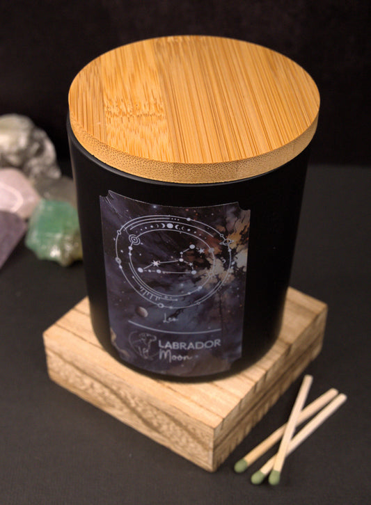 ♌ Leo – The Luminary: July 23 - August 22