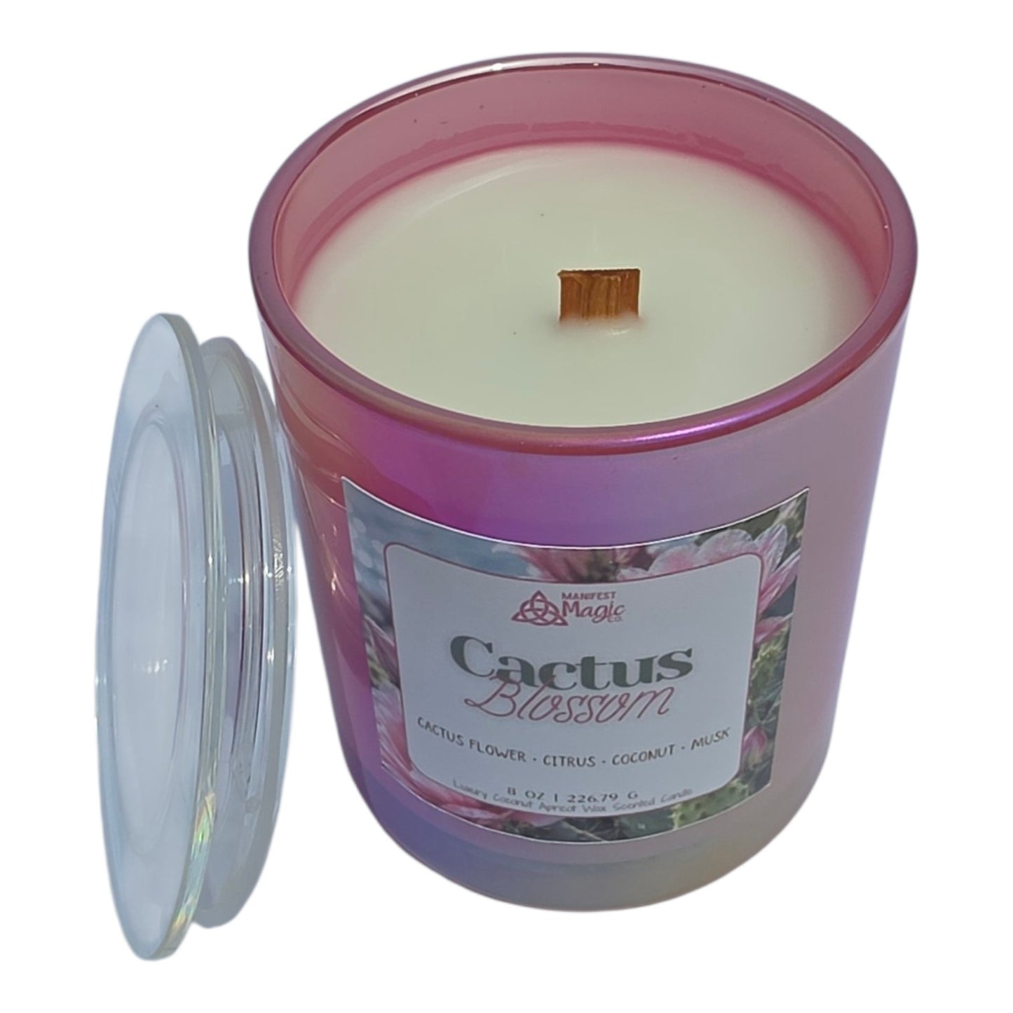 Cactus Blossom