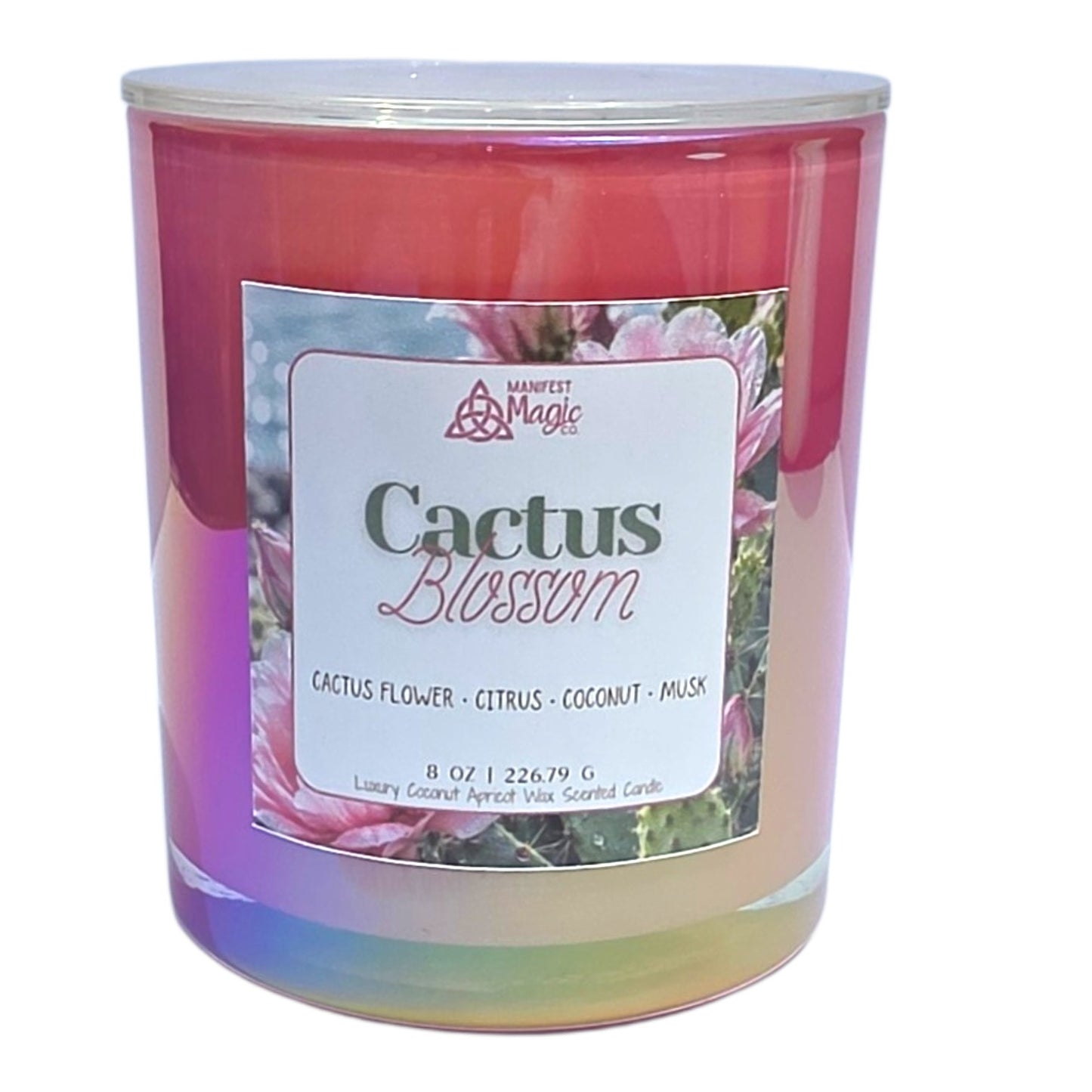 Cactus Blossom