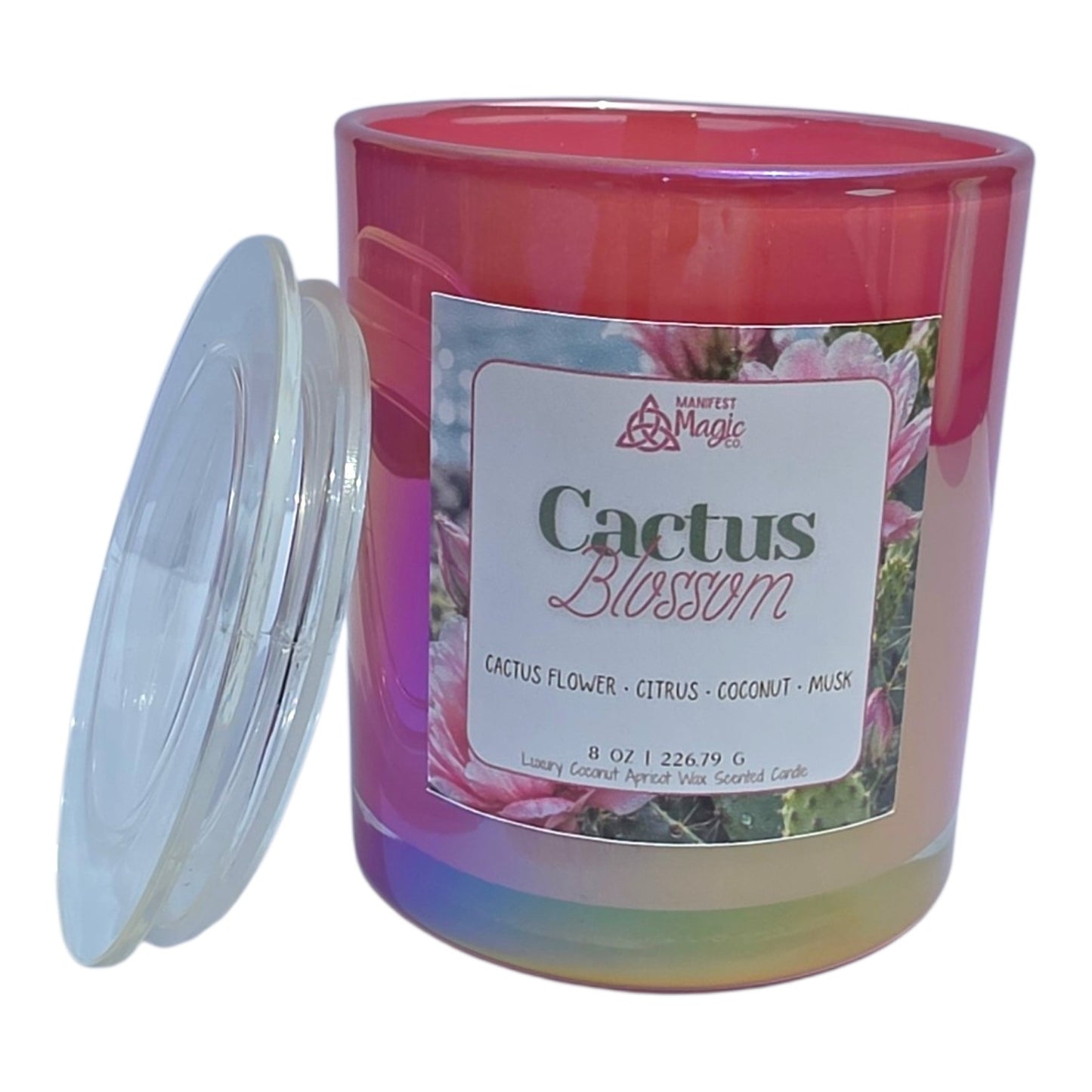 Cactus Blossom