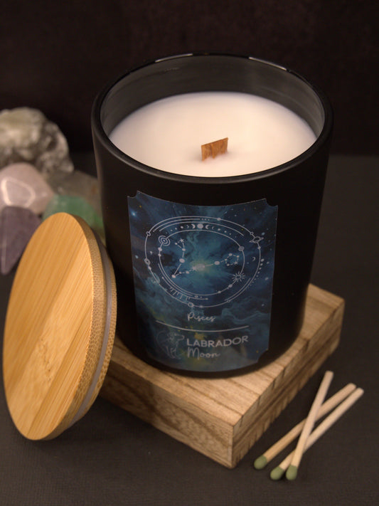 ♓ Pisces – The Dream Weaver: February 19 - March 20