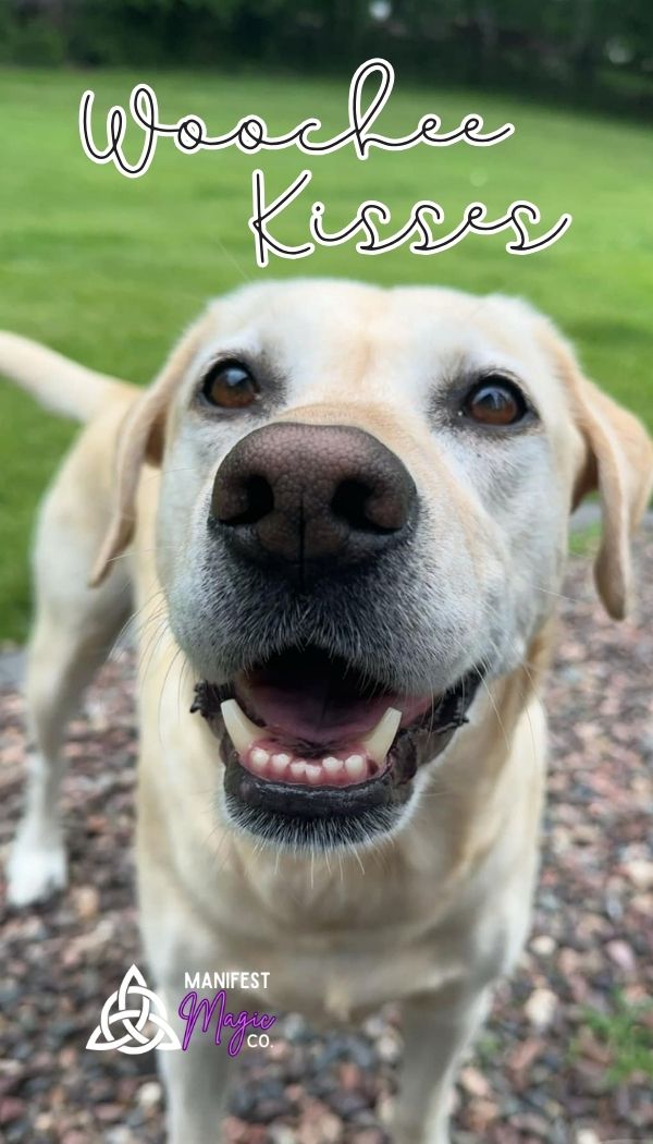 ✨ Create Your Own Custom Candle 7.5 ounce ✨